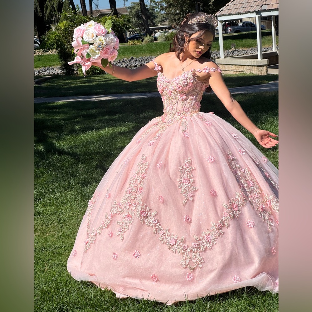 Elegant Pink Floral Embellished Quinceñera Dress